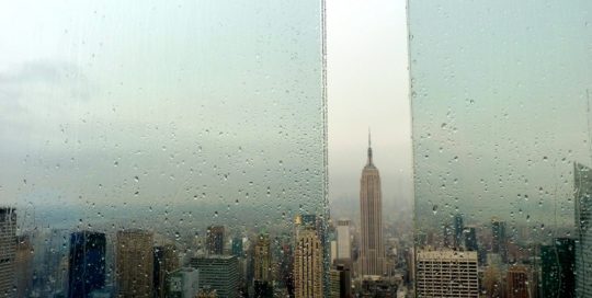New York im Regen Bild