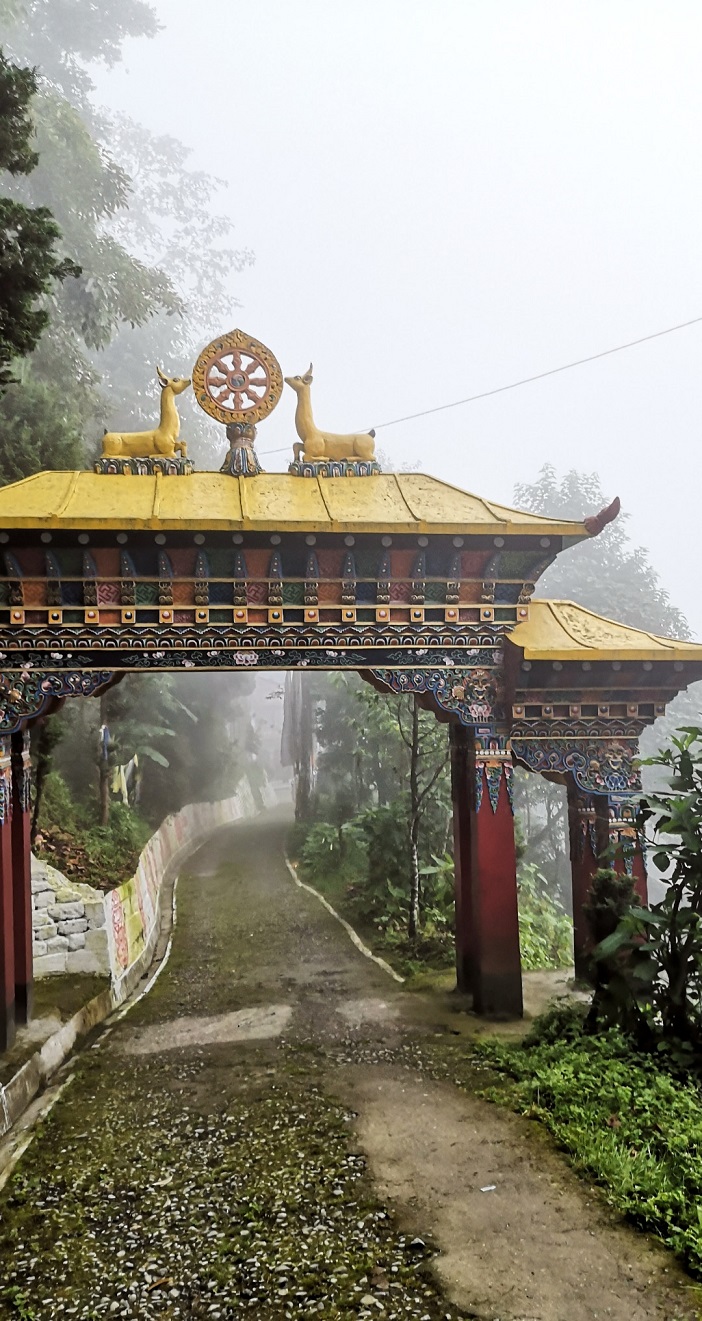Darjeeling Indien Bild