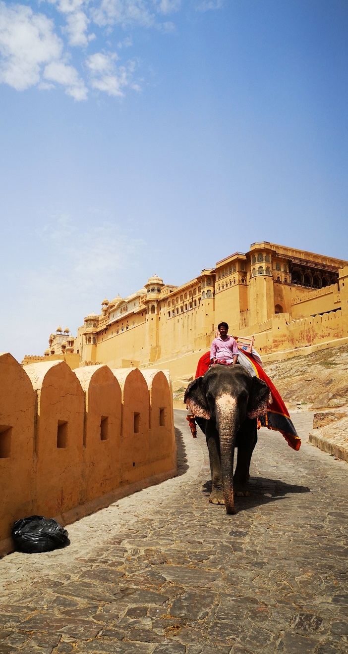 Amber Fort Jaipur Indien Bild